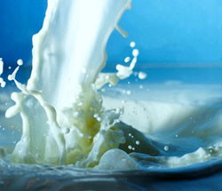 Tất cả các loại sữa lưu hành trên thị trường đều sạch, không riêng gì TH True Milk
