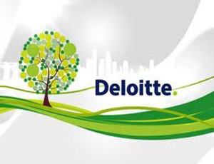 Deloitte được đề nghị hỗ trợ cải cách DNNN