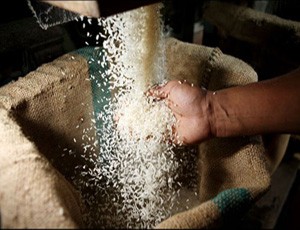 Lợi dụng trợ giá gạo để trục lợi
