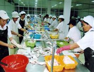 Làm rõ sai phạm tại Tổng công ty thủy sản Việt Nam