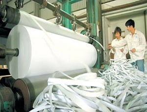 Nhiều nhà đầu tư nghi ngờ về kế hoạch sản xuất giấy và bột giấy của Hapaco với doanh thu 1.200 tỷ đồng/năm.
