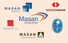 Lợi nhuận năm 2012 của MSN giảm vì Techcombank