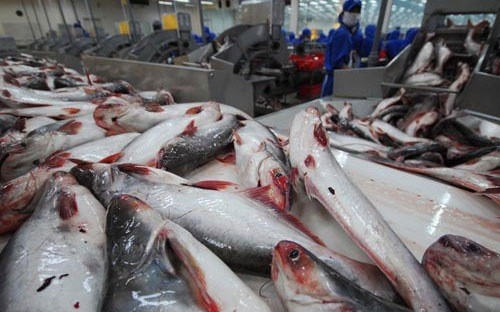 Mỹ tăng thuế chống bán phá giá cá tra của Việt Nam
