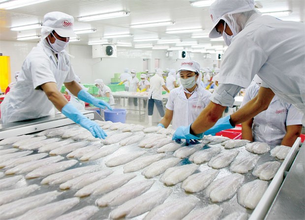 Mỹ tăng thuế với cá tra Việt Nam: Tổn thương DN lớn, cơ hội cho DN nhỏ