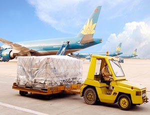 NoiBai Cargo dự kiến trả cổ tức 160%
