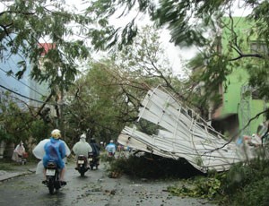 Bảo Việt ước bồi thường trên 28 tỷ đồng hậu quả cơn bão số 11 
